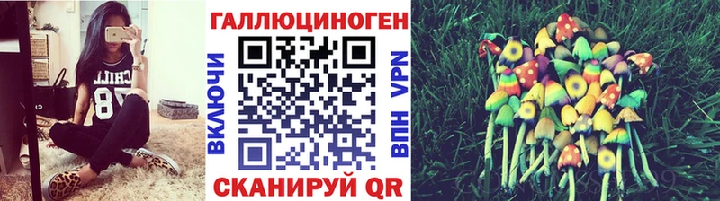 Галлюциногенные грибы Psilocybe  Костерёво 