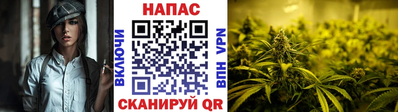 Каннабис VHQ  Костерёво 